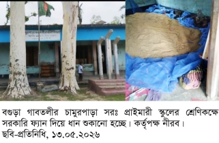গাবতলীতে সরকারি স্কুলে সরকারি ফ্যান দিয়ে ধান শুকানোর অভিযোগ